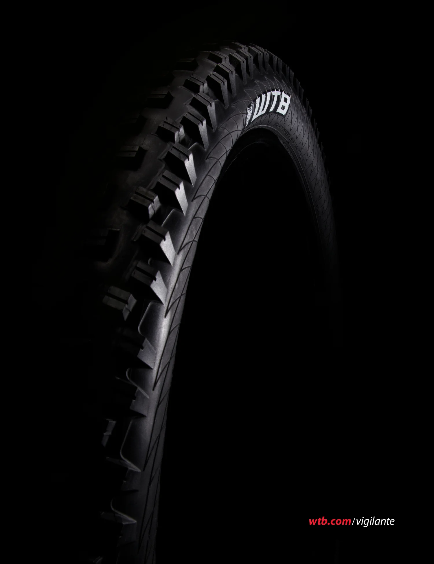 WTB Product Ads, 2012, image 4