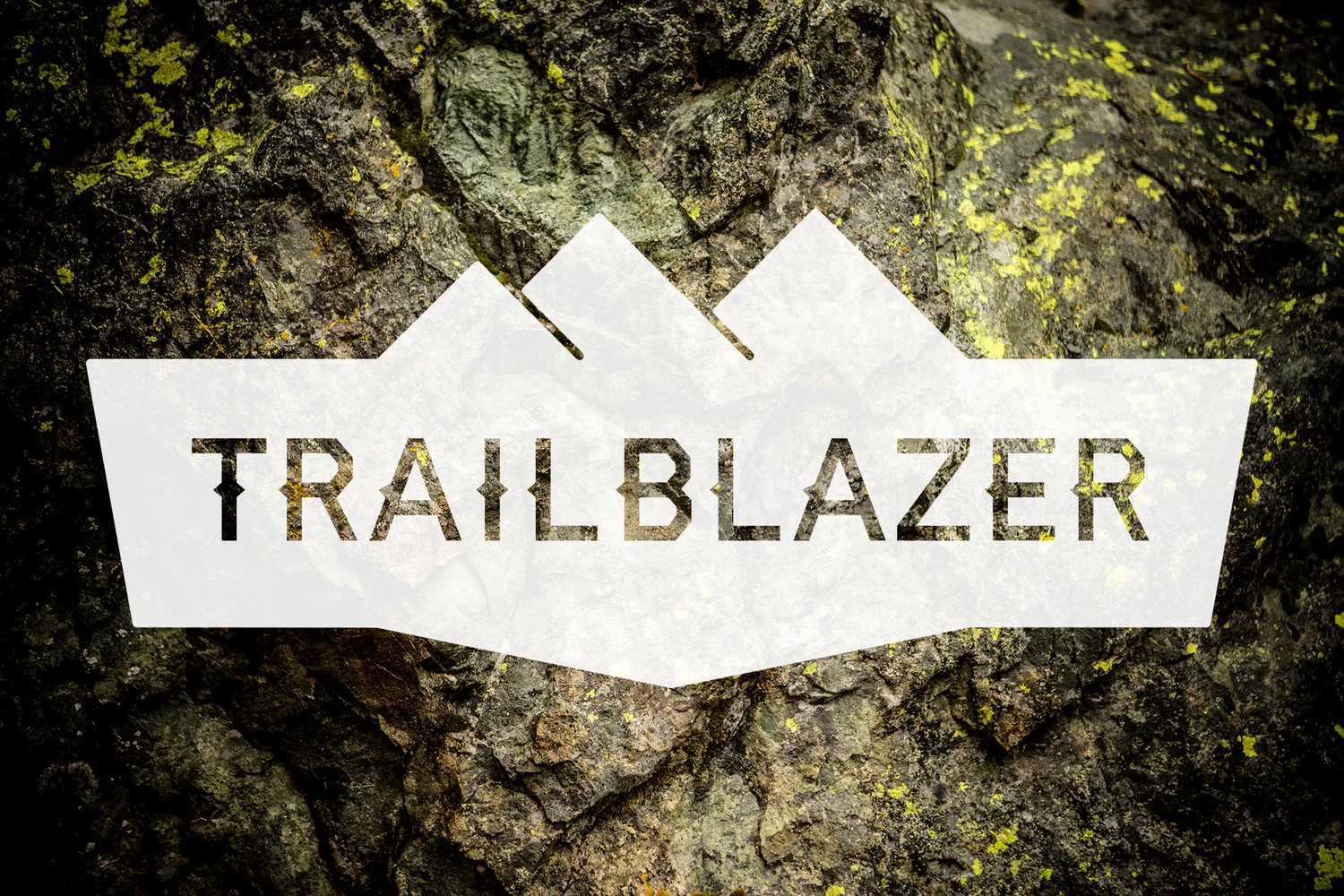 Trailblazer, 2015, image 2
