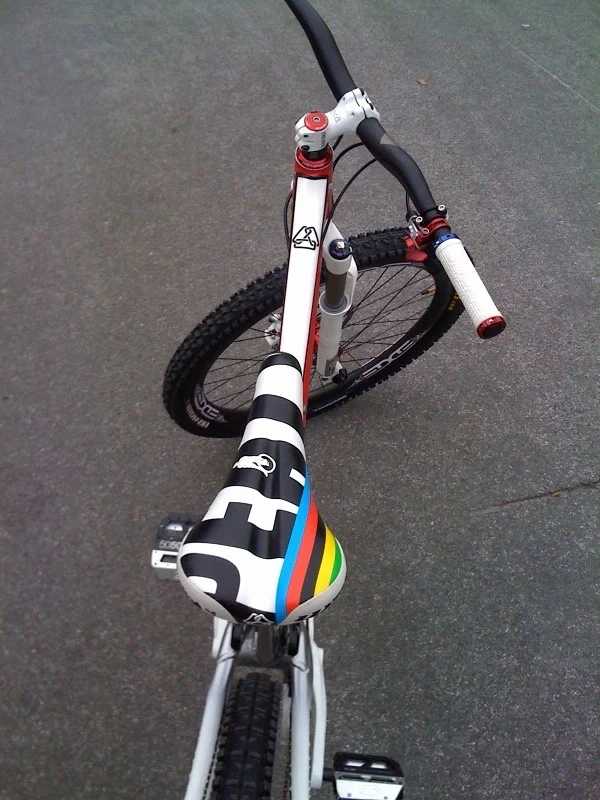 World Champion Custom Saddle, 2009, image 2